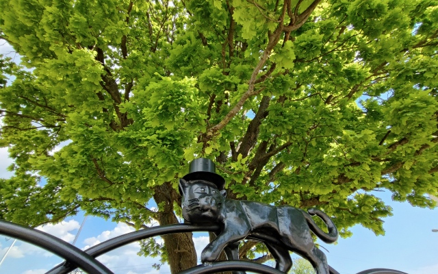 Апартаменты Новая квартира на Жукова район "Сельма"