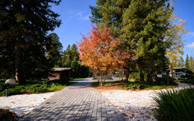 Отель Чага Дом