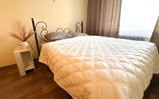 Квартира Мега просторная в центре