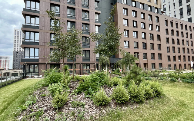 Vidovaya Studiya Na Planete Flat