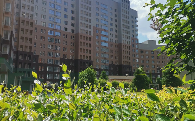 Studiya Galereya Ryadom Novosibirsk Flat