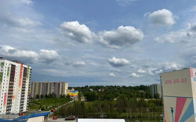 Апартаменты Eco Лес