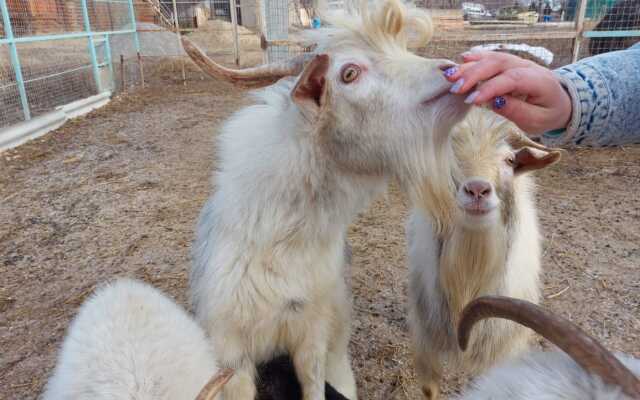 База отдыха Замок