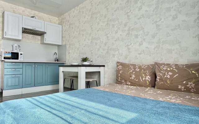 Апартаменты Студия на Вице Адмирала 9