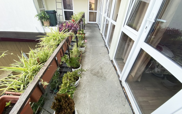 Dikovinka Sochi Guest House
