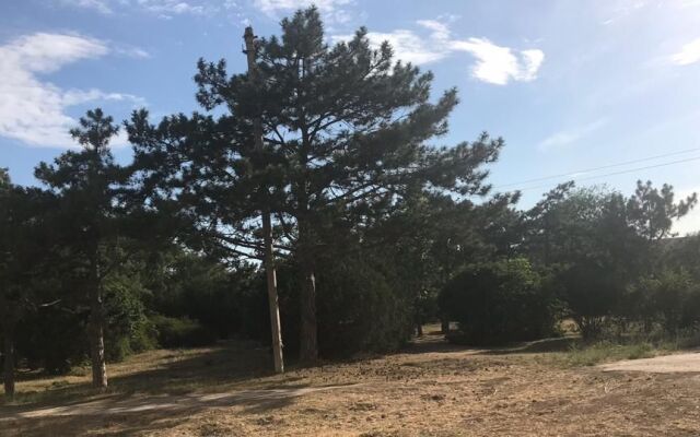 Апартаменты Moynaki Evpatoriya