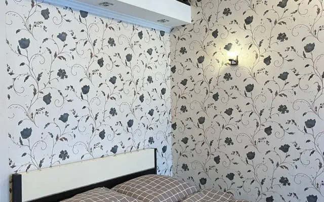 Апартаменты Боголюбово студия