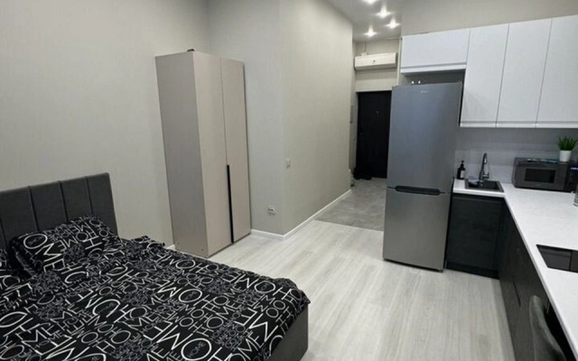 Квартира - студия с красивым видом из окна