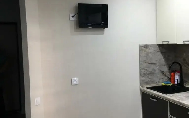Uyutnaya 1-komnatnaya v tsentre goroda Flat