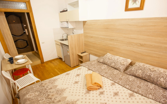 Апартаменты Студия Владимирский