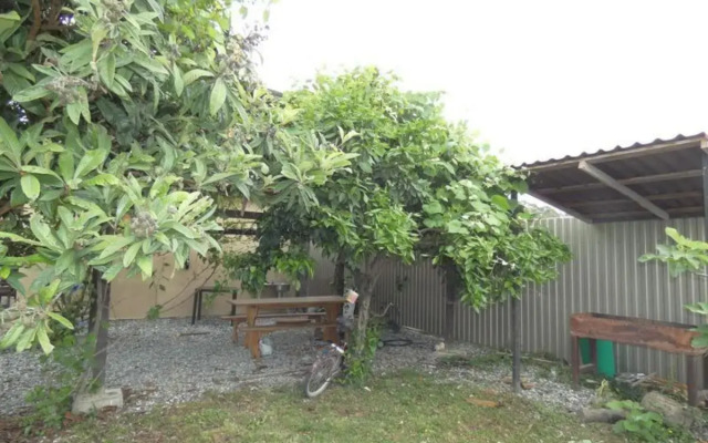 Guest house Comodita