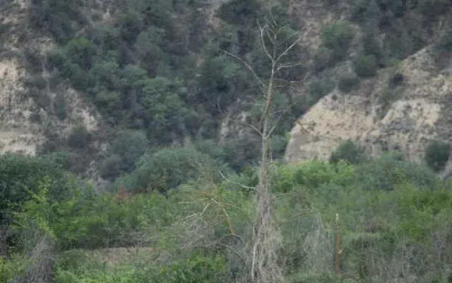 Qafqaz Riverside Hotel