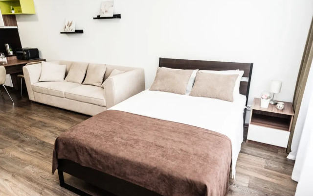12 Apartamenty Radius na Malysheva 42a (21)