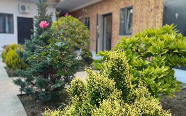 Morskaya Zvyozdochka Guest house