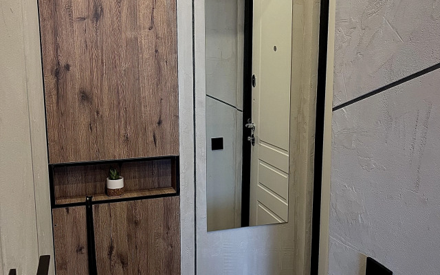 Vidovaya V Stile Loft Flat