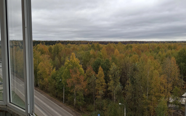 Odnokomnatnaya V Levshino Flat