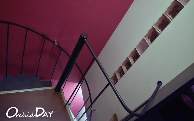 Мини-Отель  День Орхидей