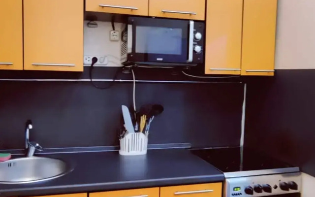 Апартаменты Уютная студия у парка Победы