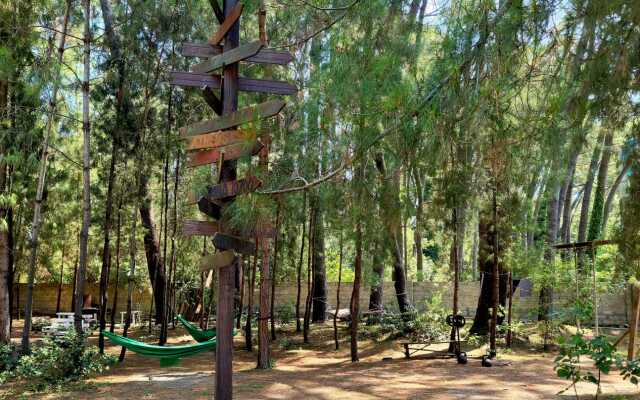 Forest Club Mini-Hotel