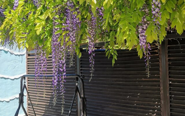 Rakushka Blaga Guest House