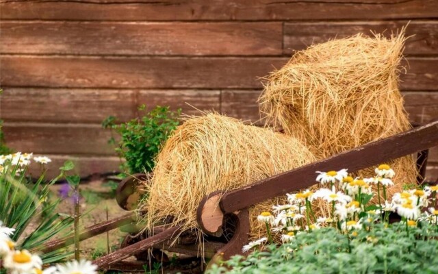 Гостевой Дом Казачий Хуторок