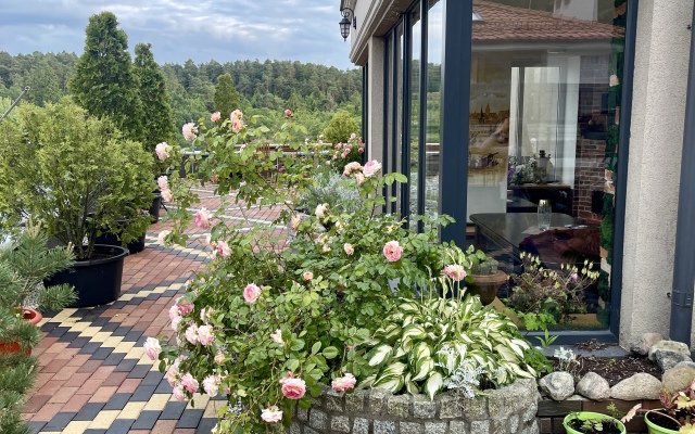 Апартаменты в курортной зоне Светлогорска