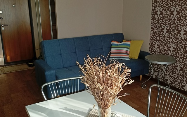 Квартира Двухкомнатная Студия в Тихом Центре Левого Берега