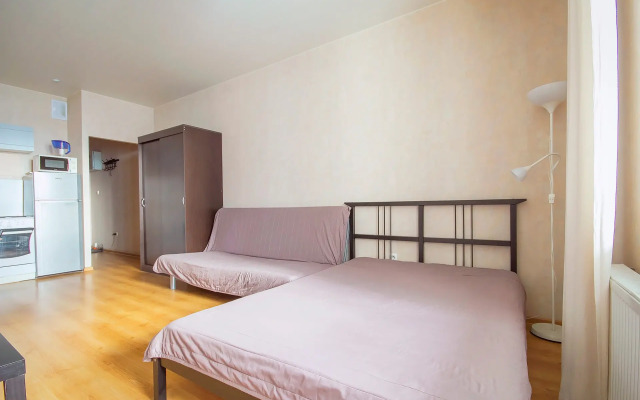 Квартира Уютная студия у Алмазова и м. Пионерская