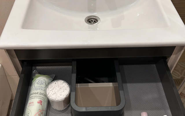 Квартира Ёлки зелёные в тихом центре Петрозаводска