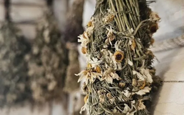 Частный Дом Сила Поля