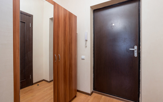 Аппартаменты Петра Метальникова