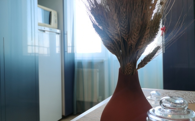 Pandora Planet Apartments