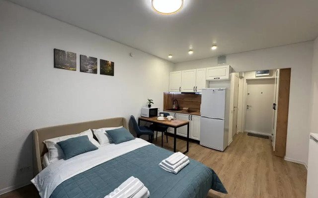 Studiya V Moskve Flat