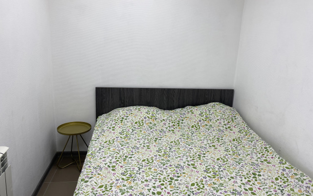 S Novym Remontom Apartments