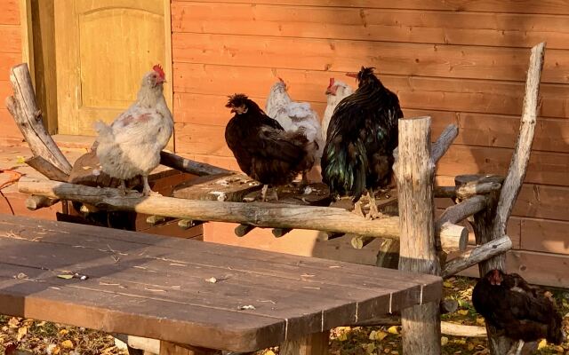 База отдыха Эко Хутор Рай Сяля