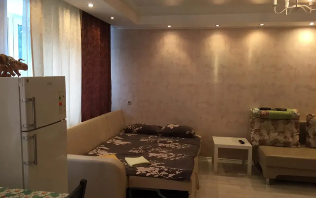 Апартаменты Студия на Первомайской 58