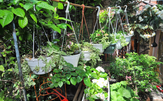 Гостевой дом Роман и Светлана