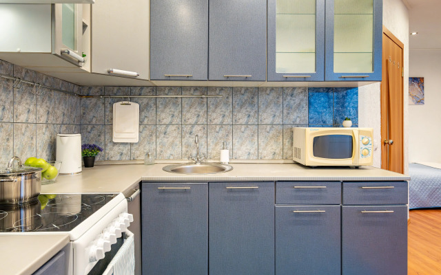 Sutkilive U Metro Akademicheskaya Apartments