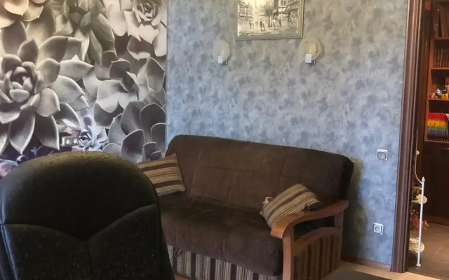 V Istoricheskom Tsentre Goroda S Vidom Na Naberezhnuyu Flat
