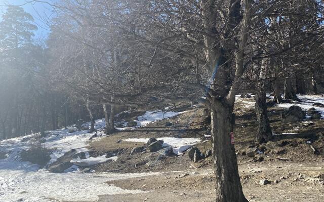 Гостевой дом Дача МиСо Теберда by Dombay Flats