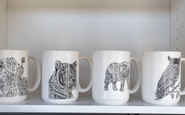 Частный дом в Мечниково