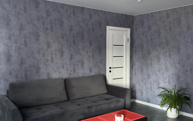2-Kh Komnatnaya Kvartira V Samom Tsentre,45 M2 Flat