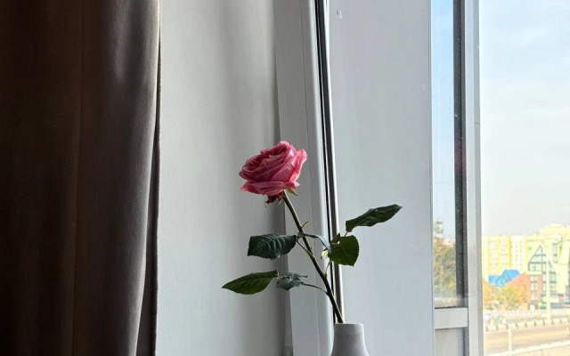 Vidovaya V Kaliningrade Flat