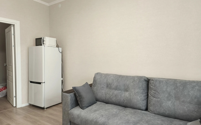 V Petrodvortsovom Rayone Flat