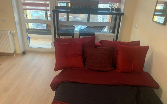 Квартира на улице Репина