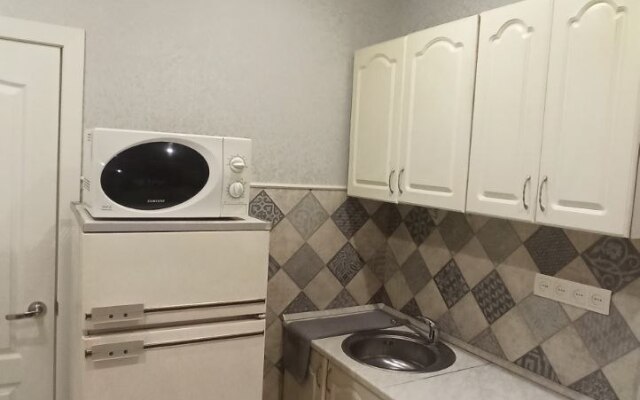 1-Komnatnaya V Tsentre Na Kujbysheva 60 Flat