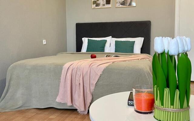 Odnushka Vozle Tsirka Flat