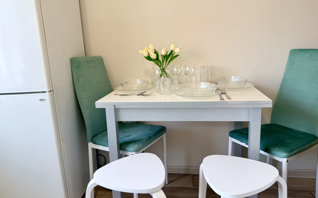 Stylish spacious near the center of Loginov Flat