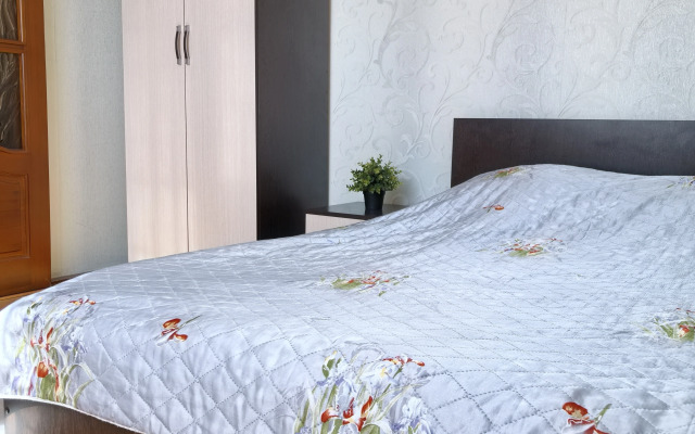 Апартаменты Квартира по Улице Чкалова 18-1