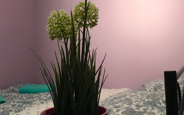 Хостел Travel Inn на Добрынинской